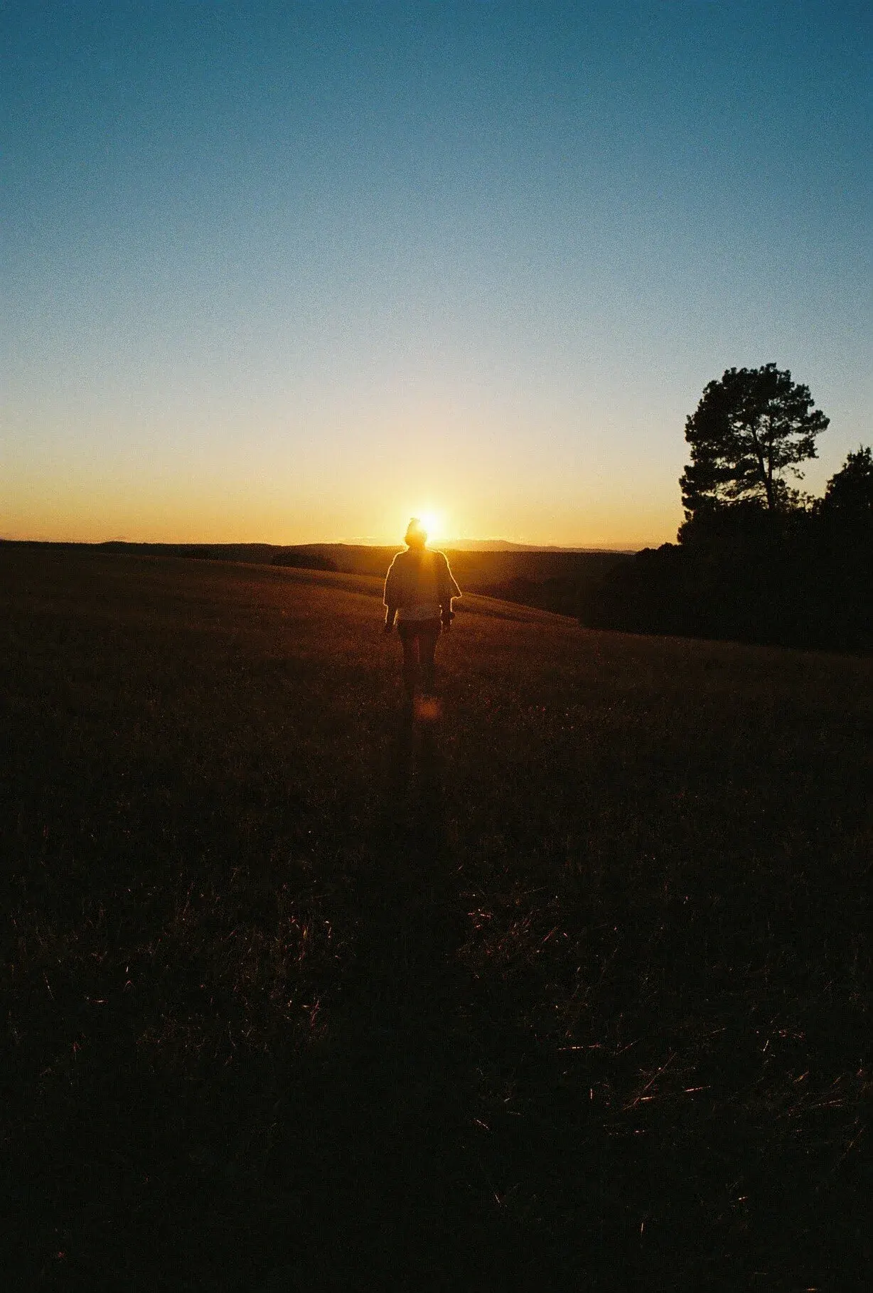 Une personne marche dans un champ au coucher du soleil, avec un grand arbre à droite et un ciel dégradé de bleu à orange