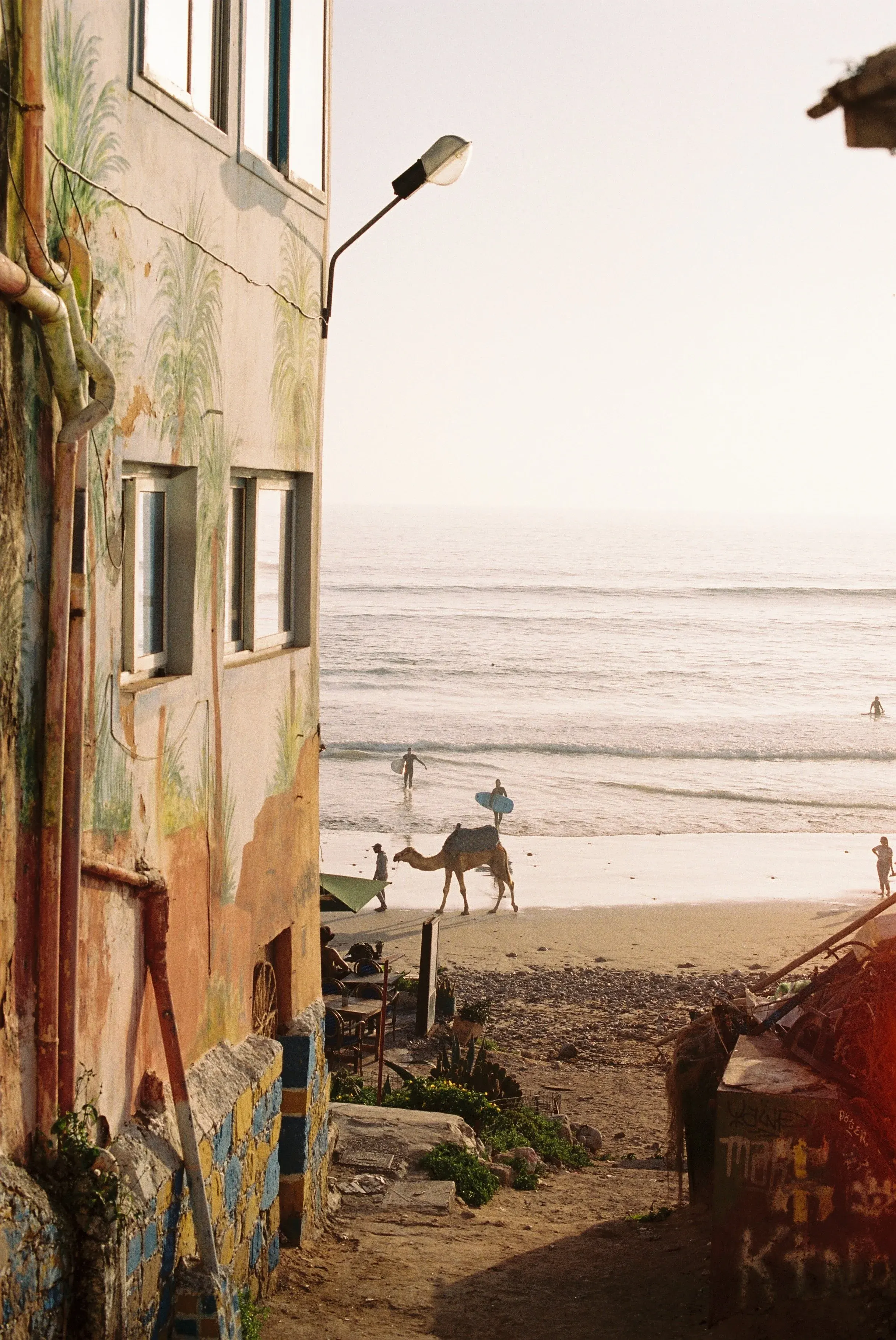 Vue d'une plage avec des surfeurs dans l'eau, un dromadaire sur le sable, un bâtiment peint avec des motifs de plantes et un lampadaire, en fin de journée.