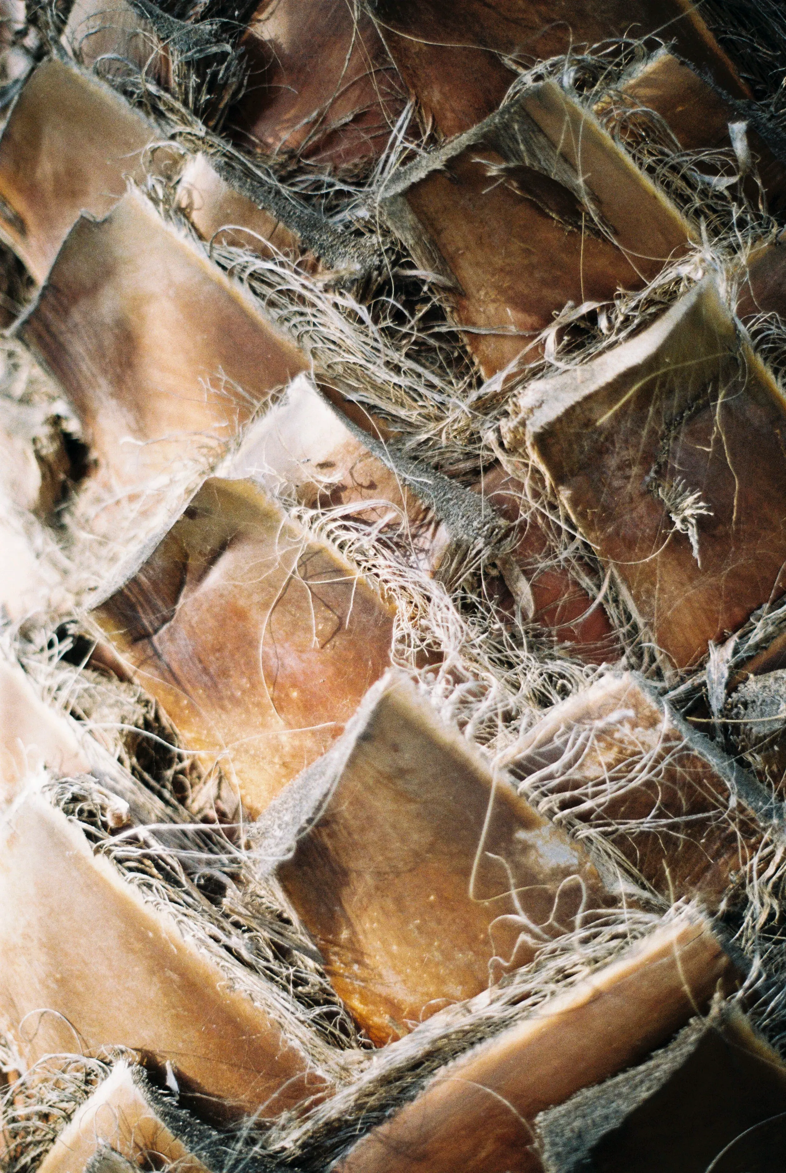 Gros plan de morceaux de bois empilés, avec des fibres et de la poussière visible.