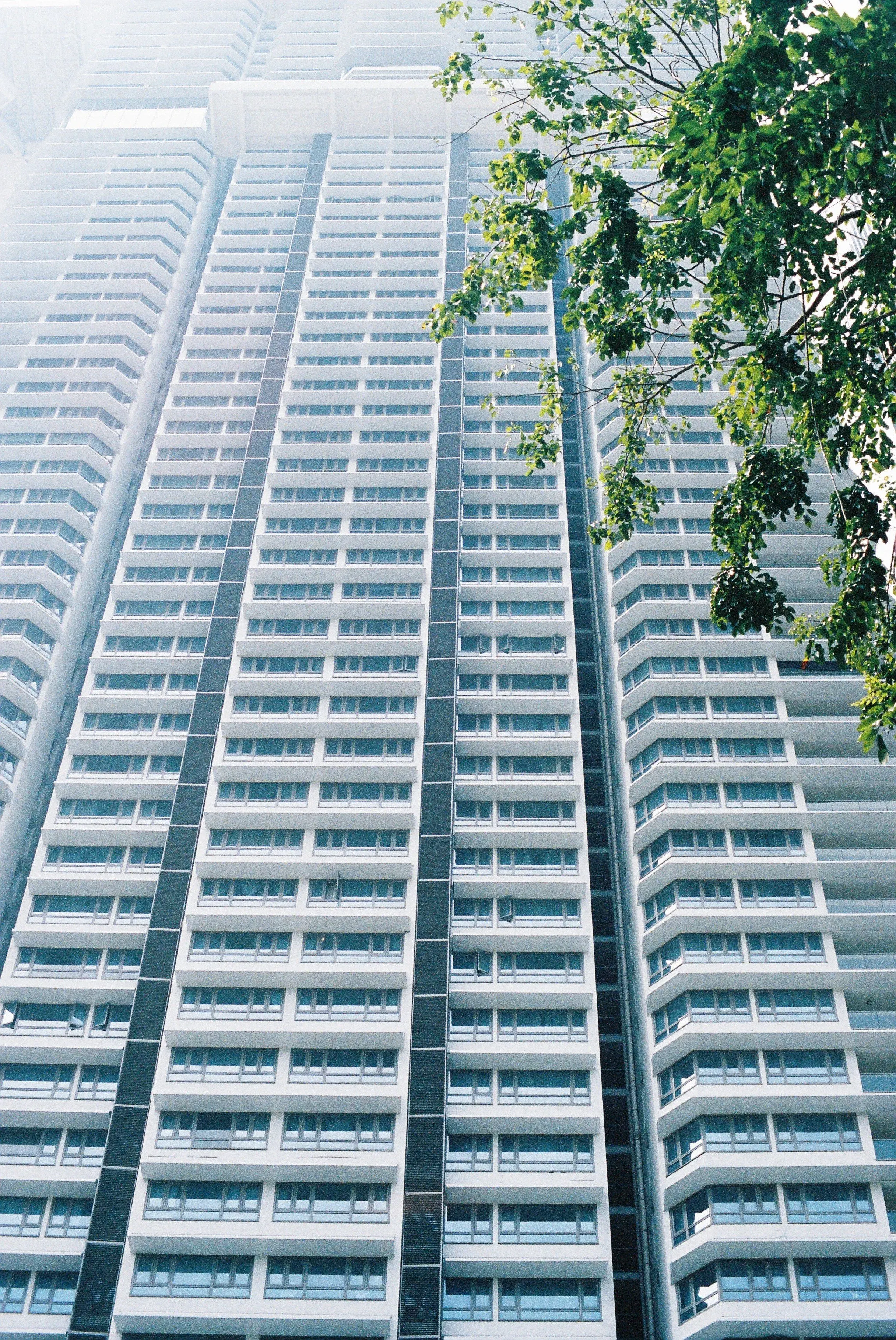 Un immeuble moderne avec de nombreuses fenêtres, vue en contre-plongée, avec des branches d'un arbre vert en premier plan à droite.