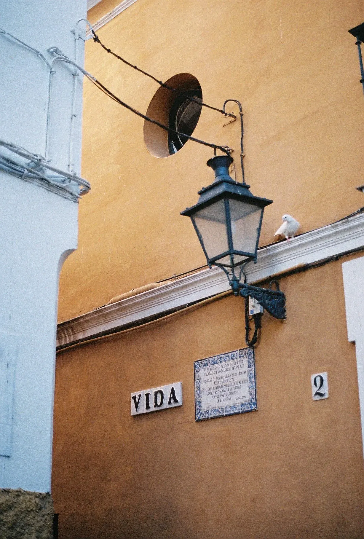 Une rue avec un mur jaune, une enseigne avec le mot « VIDA », une enseigne en céramique avec un texte, une lanterne noire suspendue, et un pigeon blanc perché sur un rebord.