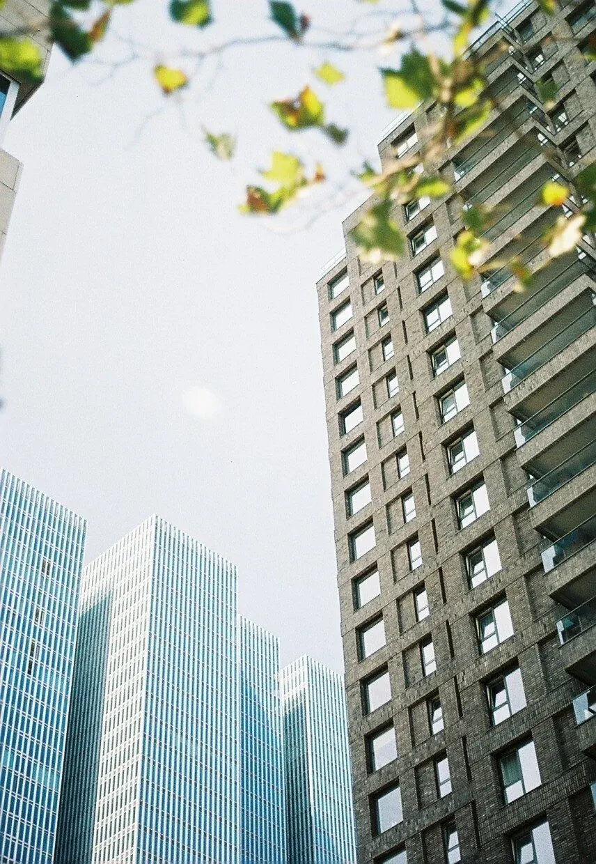 Vue de plusieurs bâtiments modernes de grande hauteur avec des fenêtres en verre, vue partielle d'un arbre avec des feuilles vertes en premier plan